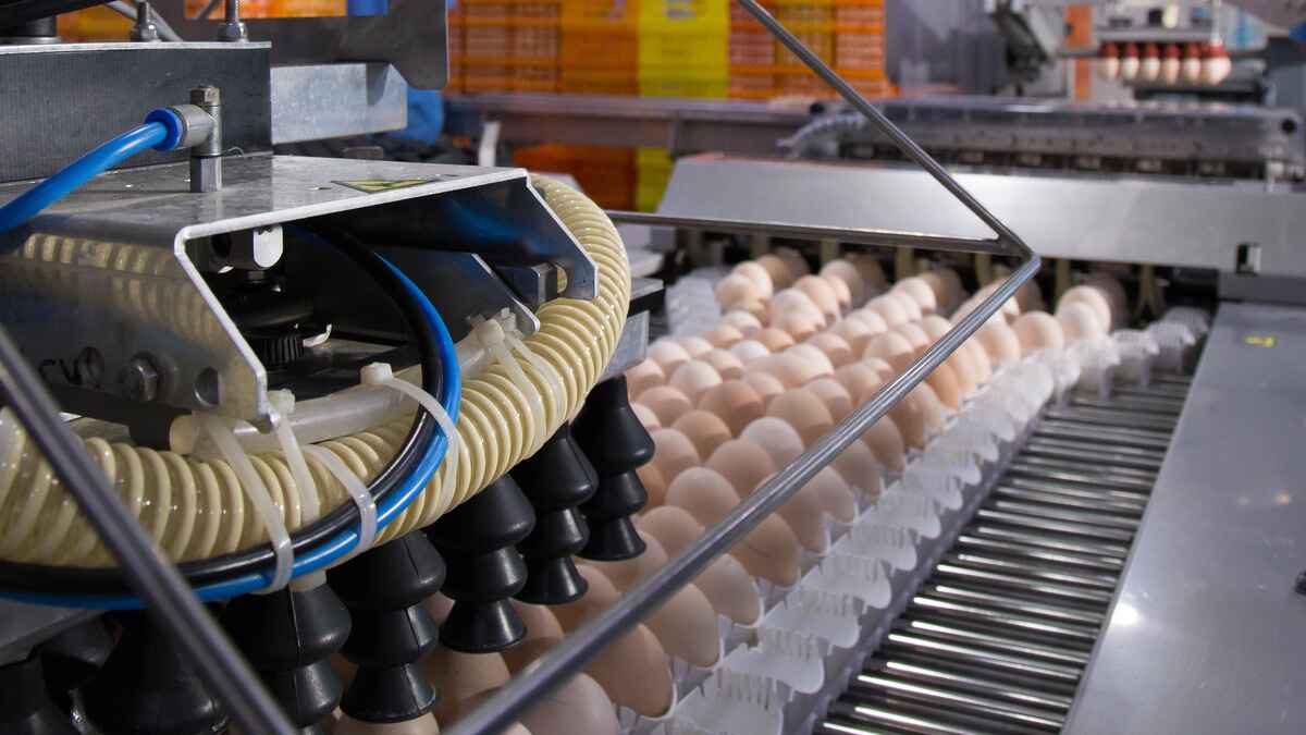 Food Processing - Product Handling and Conveying